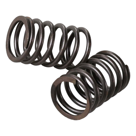 G- Valve Spring 2V Outer Set (139QMB, GY6)