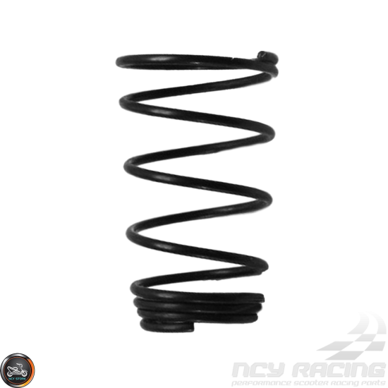 G- Oil Filter Spring (QMB, GY6, Universal)