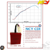 NCY CDI AC Unlimited Performance (Honda Ruckus)