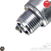 NGK Spark Plug (B8HS)