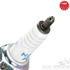 NGK Spark Plug (DPR7EA-9)